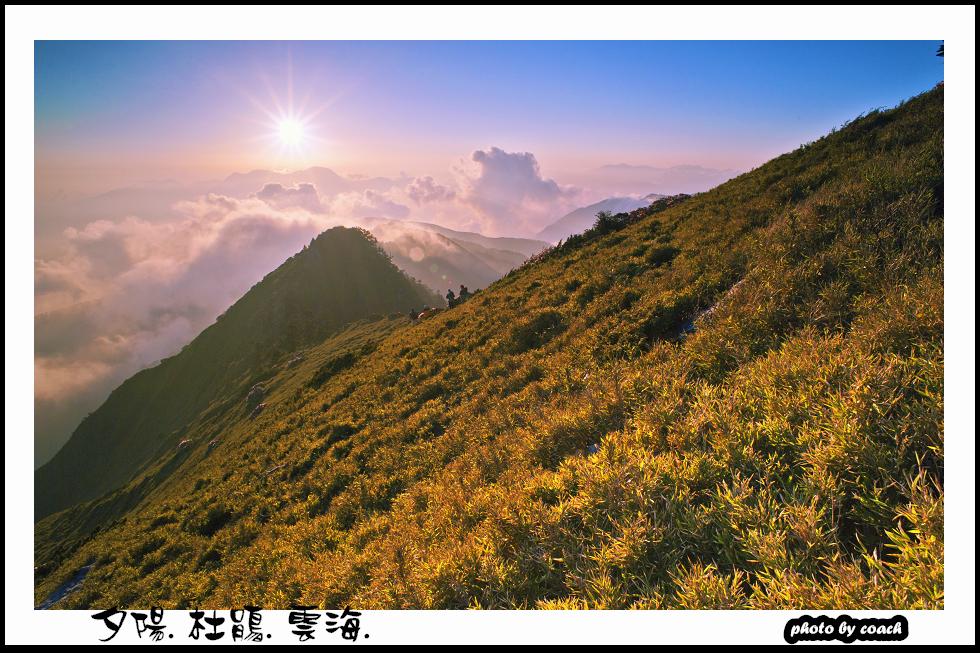 http://i.dcview.tw/gallery/201111/16da2aebc10dfe2fc4b6e3fcbc1d3bb3.jpg