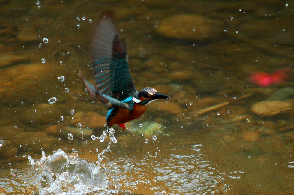 http://i.dcview.tw/gallery/201111/17f406f1abd3823e285fdfa18a8f5b81.jpg