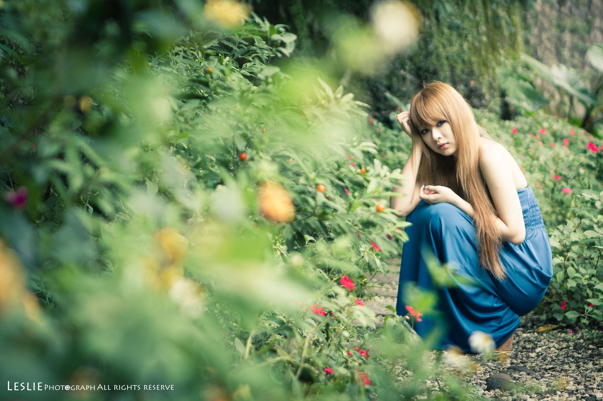 http://i.dcview.tw/gallery/201111/1ca0a5c959f3bea09a5da27ddea86f11.jpg