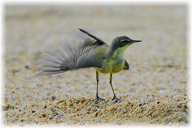 http://i.dcview.tw/gallery/201111/2019c52bdec21cad4a1dd050e7393eb4.jpg