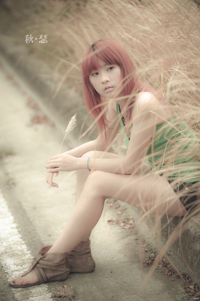 http://i.dcview.tw/gallery/201111/250b0e53da5b0e0b73fd99a8a6a36bb8.jpg