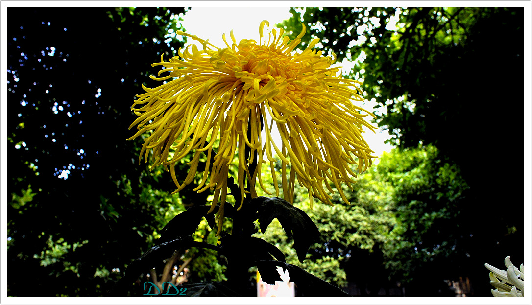 http://i.dcview.tw/gallery/201111/2531023c536208ce3870a10630381215.jpg