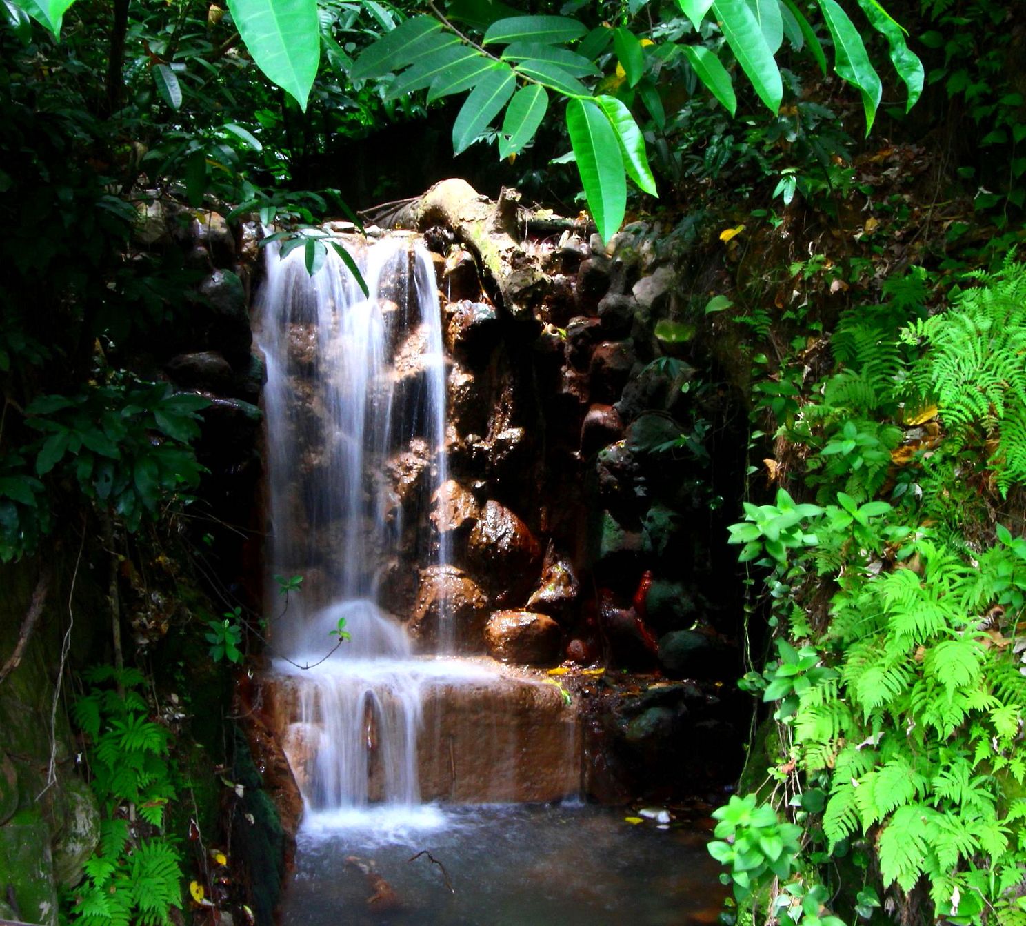 http://i.dcview.tw/gallery/201111/2e5ae05f2c81c9505f19ead632898178.jpg