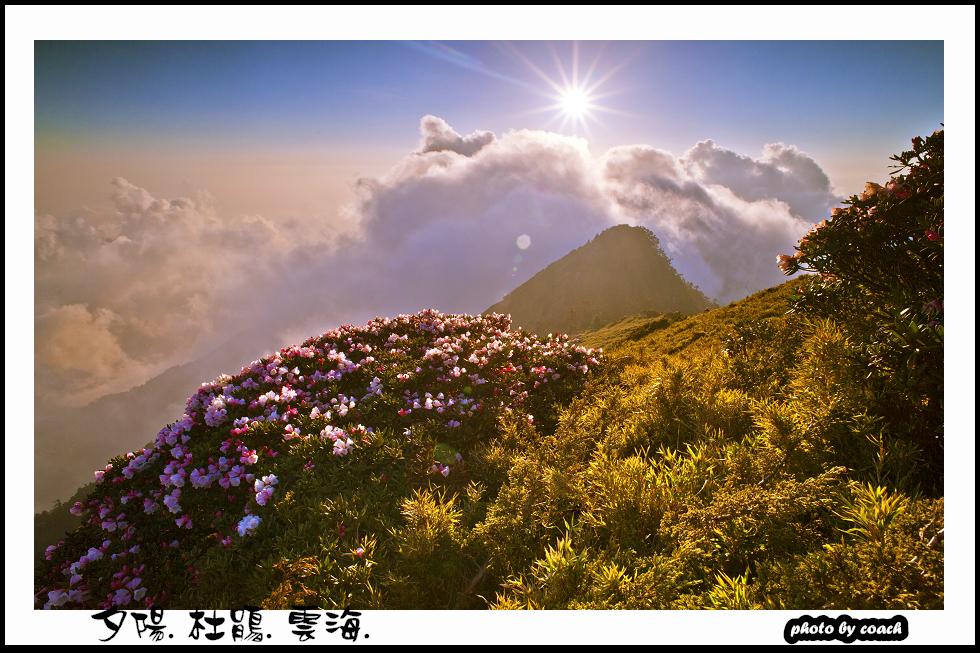 http://i.dcview.tw/gallery/201111/332e98fbc6ccb91e3226b328c9ab1d9f.jpg