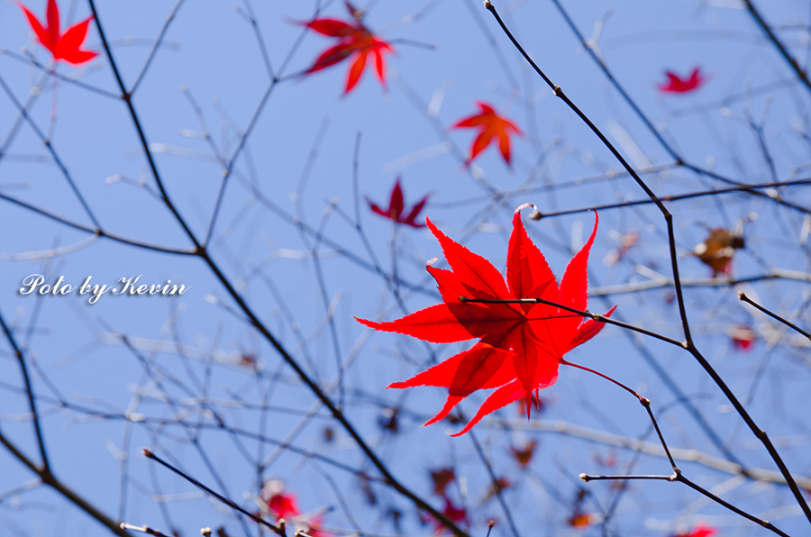 http://i.dcview.tw/gallery/201111/3474b7ed1a58bb5990f15dfec442409f.jpg