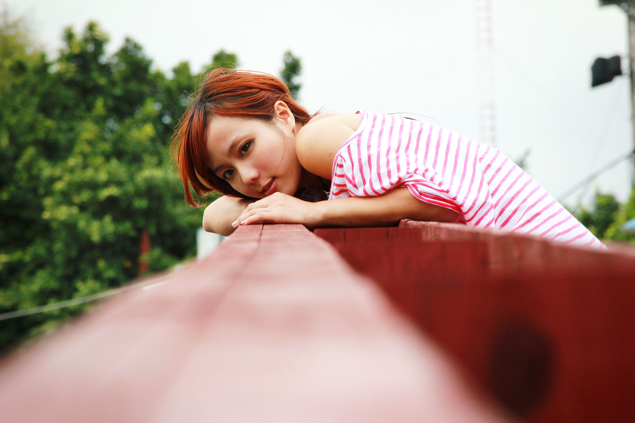 http://i.dcview.tw/gallery/201111/399613acb29265bd6cc8ee9f35759c20.jpg