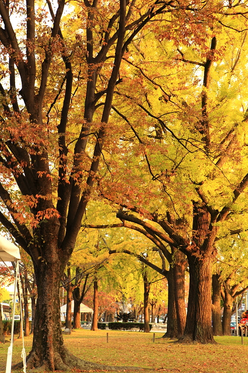 http://i.dcview.tw/gallery/201111/3a3c215e05363dbca6f85a9cbe45a1fc.jpg