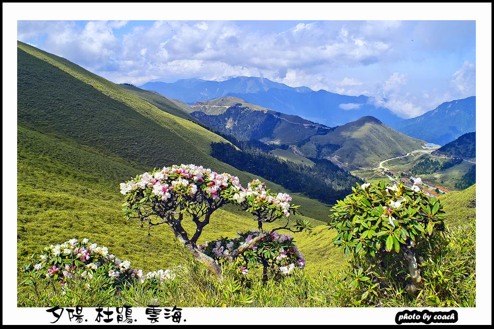 http://i.dcview.tw/gallery/201111/3d0fa80e1e6d115ed258484dbd961990.jpg