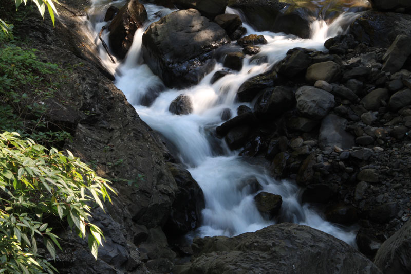http://i.dcview.tw/gallery/201111/3d546025c54b5411fd07b5ff25e09621.jpg