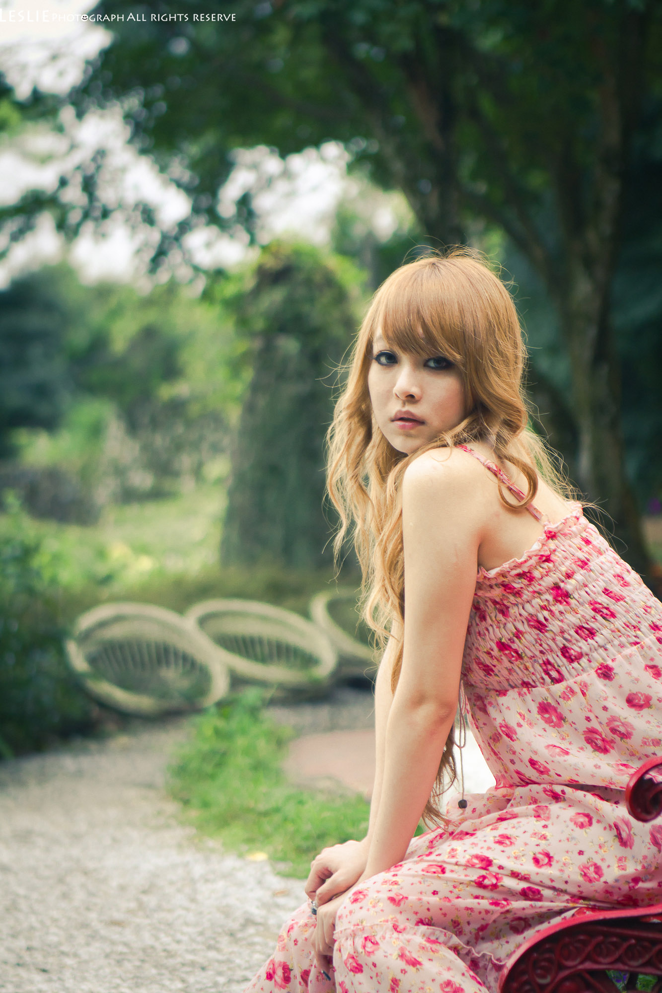 http://i.dcview.tw/gallery/201111/47c1d8f9d3169ead9256faf60db4b35d.jpg