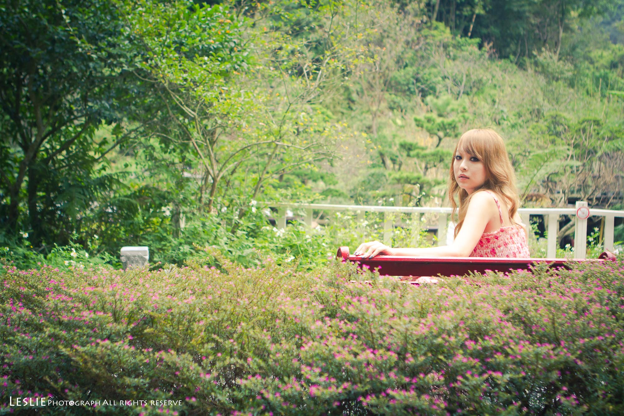 http://i.dcview.tw/gallery/201111/491382da4b8b3dc00546a2a6eab6160b.jpg