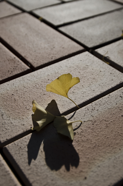 http://i.dcview.tw/gallery/201111/5398fe81dda1f0b6ae1465e6e140b7f0.jpg