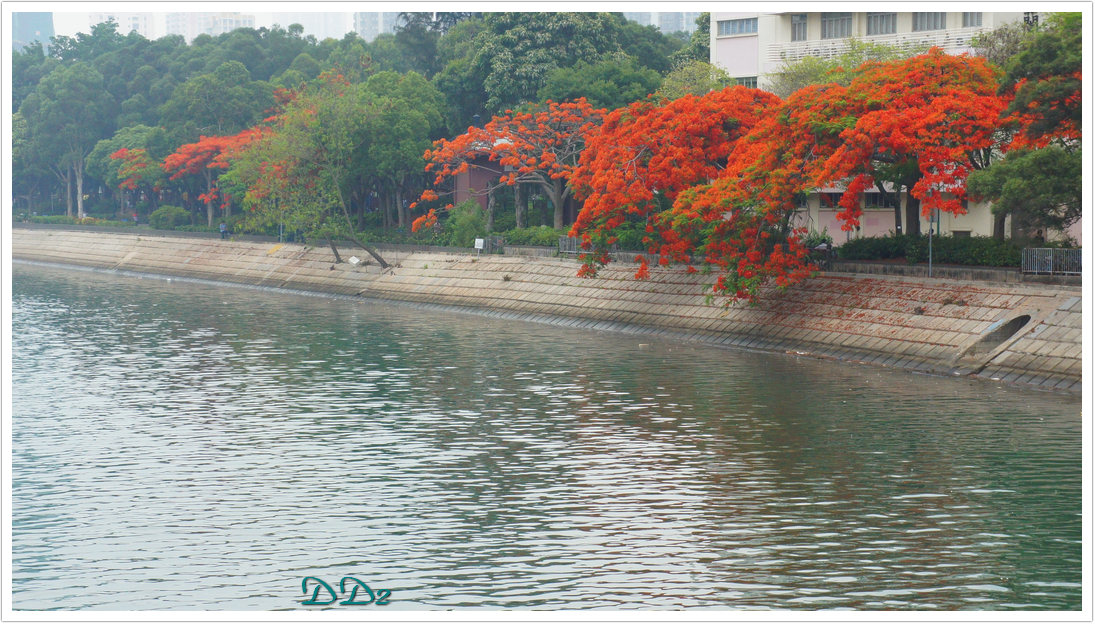 http://i.dcview.tw/gallery/201111/5a33514c0dacf5533cb033a5ed6db621.jpg