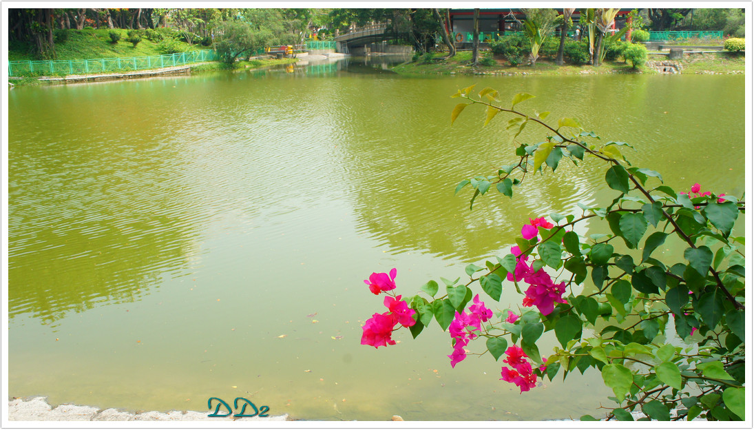 http://i.dcview.tw/gallery/201111/5a6f4480251f49ad792adaf8622d4d55.jpg