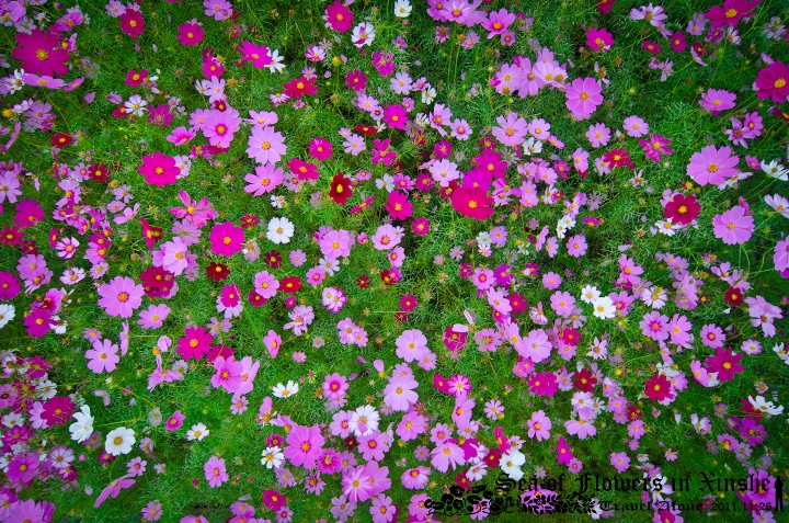 http://i.dcview.tw/gallery/201111/5f0ad4dfebd30198540b809bcce5f1e7.jpg