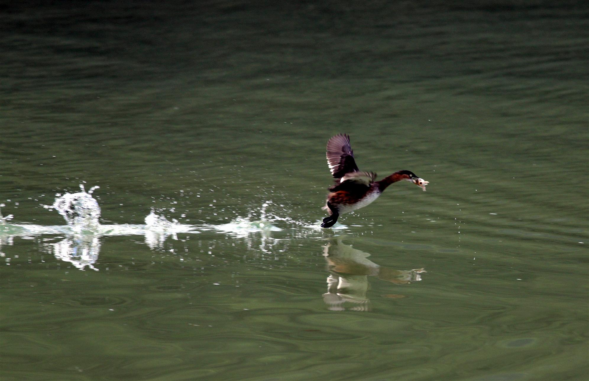 http://i.dcview.tw/gallery/201111/63ae10025f1f88f61a050cb97de1d05e.jpg
