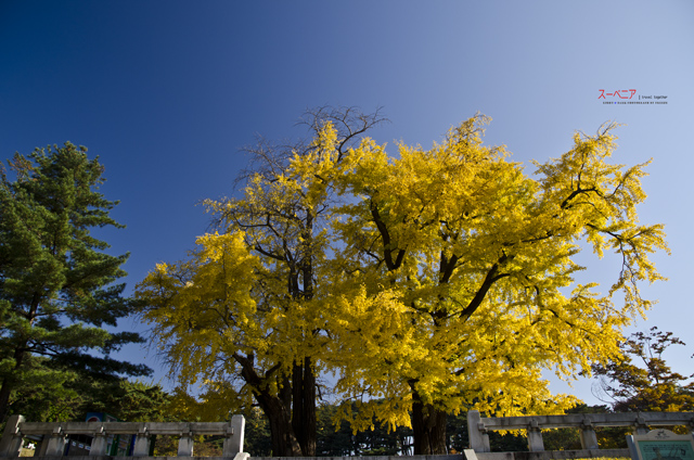 http://i.dcview.tw/gallery/201111/6908940b302305be220e120f4f3b958e.jpg