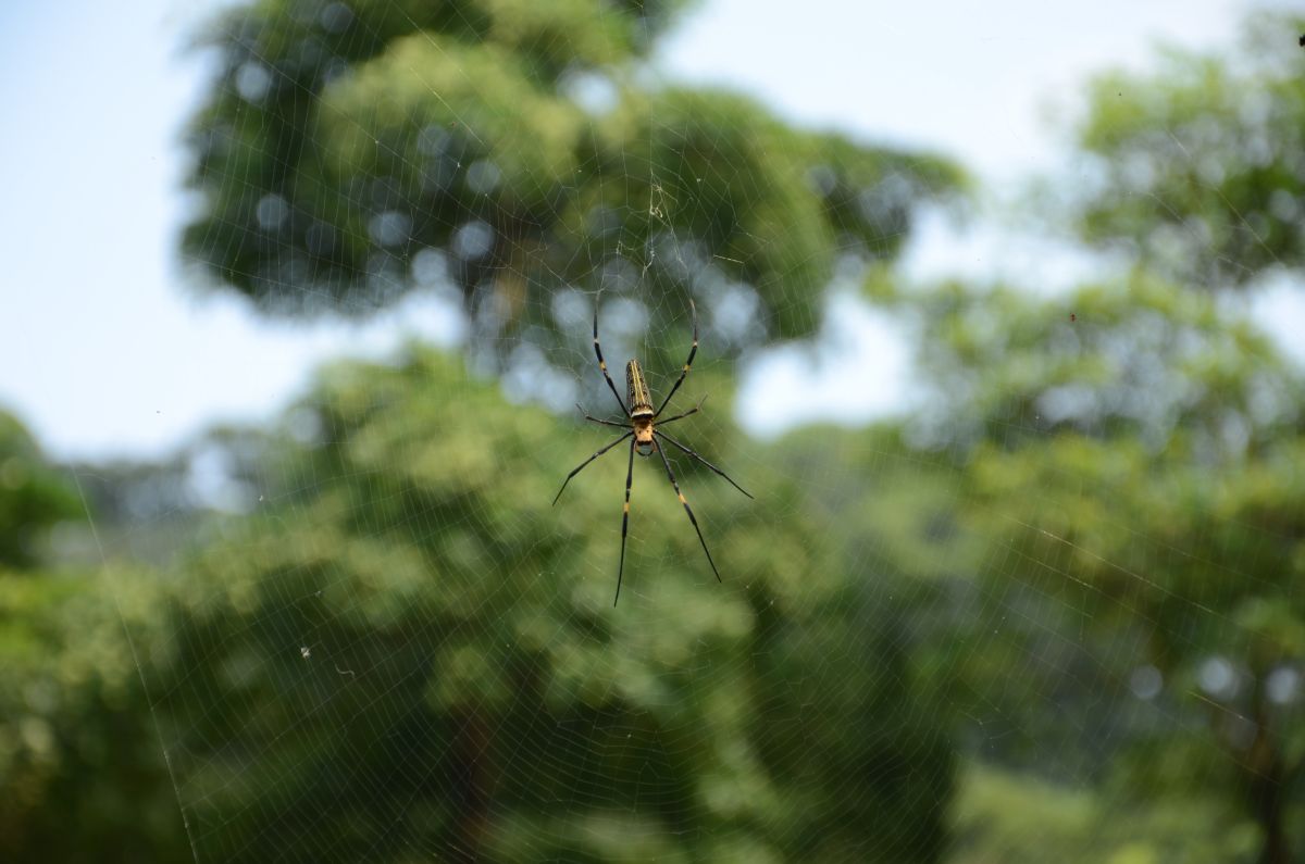 http://i.dcview.tw/gallery/201111/6d651e2940be2d8e20f3d96438aeee6a.jpg