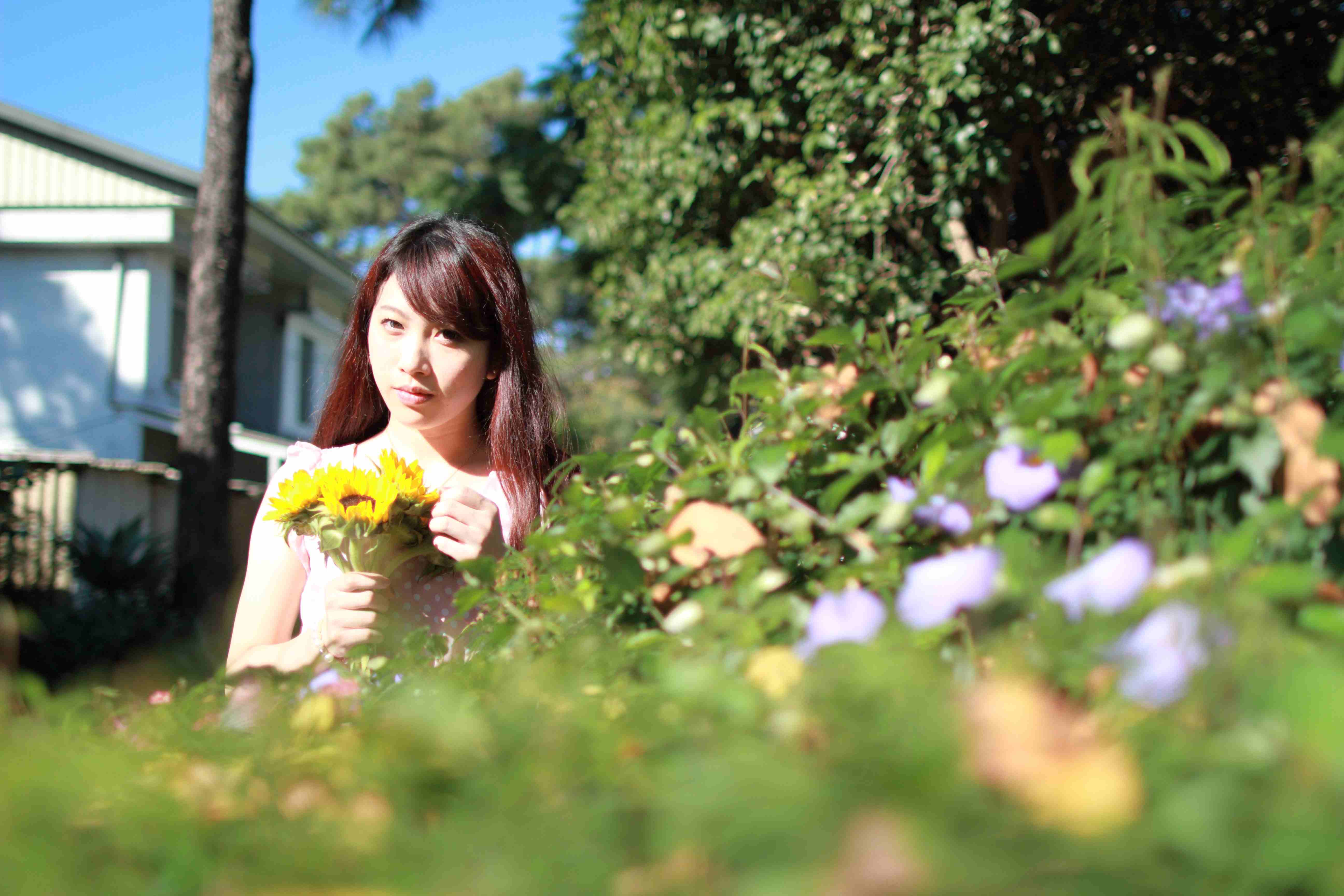 http://i.dcview.tw/gallery/201111/6ee36bad585c5d8cbc7afa1dde895083.jpg
