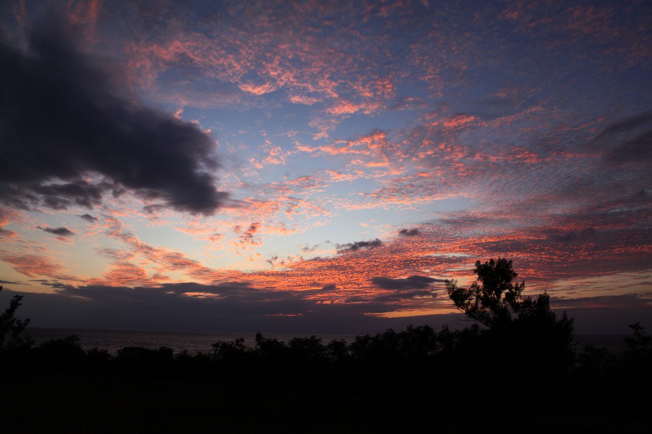 http://i.dcview.tw/gallery/201111/6f4622a3df14be72bb7f4f87285fbbbf.jpg