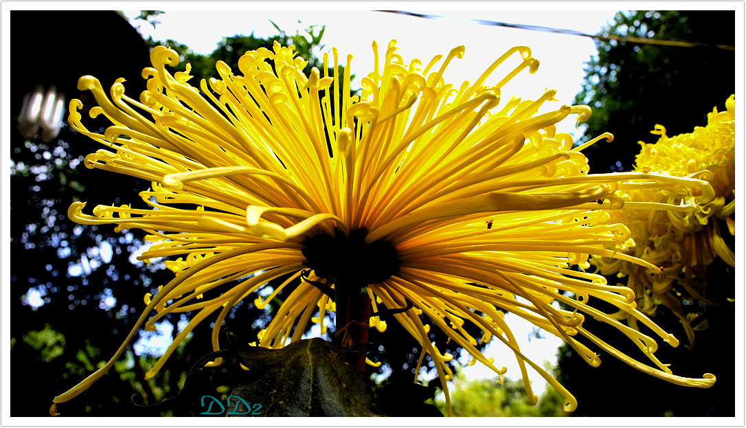 http://i.dcview.tw/gallery/201111/732cf1e583b8a885fd0b893c0dde9590.jpg