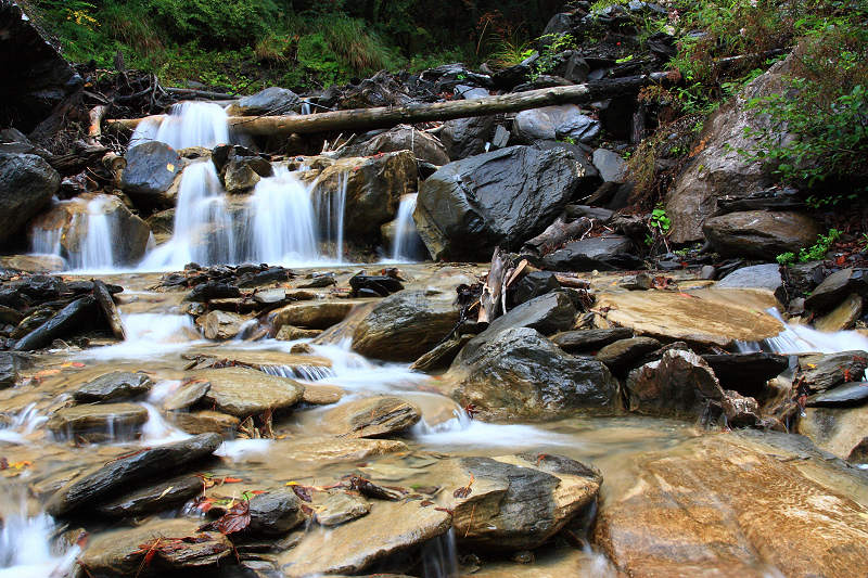 http://i.dcview.tw/gallery/201111/7430a734022068a4579d113d1c5989e4.jpg