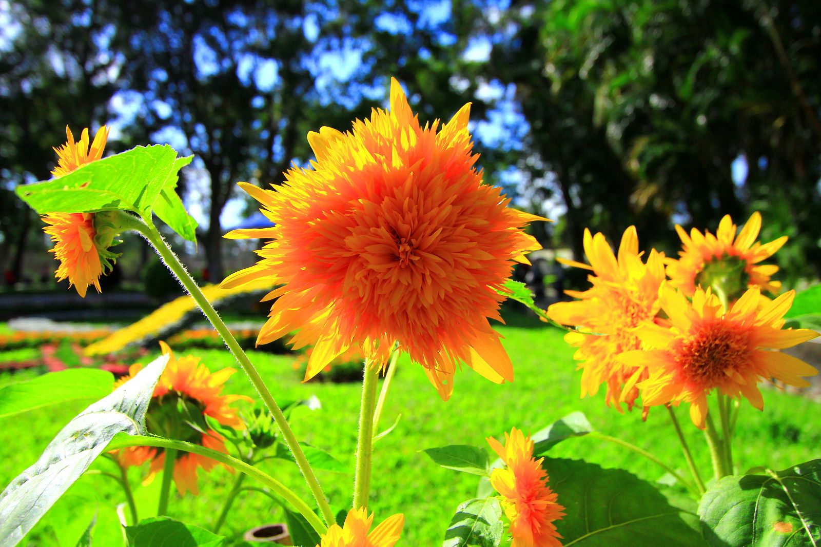 http://i.dcview.tw/gallery/201111/785d0fd6c7d203877fa50bb9c7e0da8b.jpg