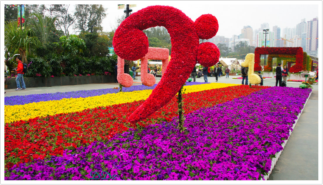 http://i.dcview.tw/gallery/201111/7b0532a063d4c850058983204ba2dd19.jpg
