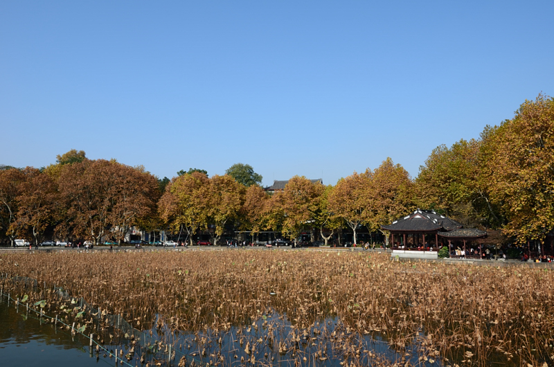 http://i.dcview.tw/gallery/201111/7eda848f6b48cd6ff5f182e84b574677.jpg