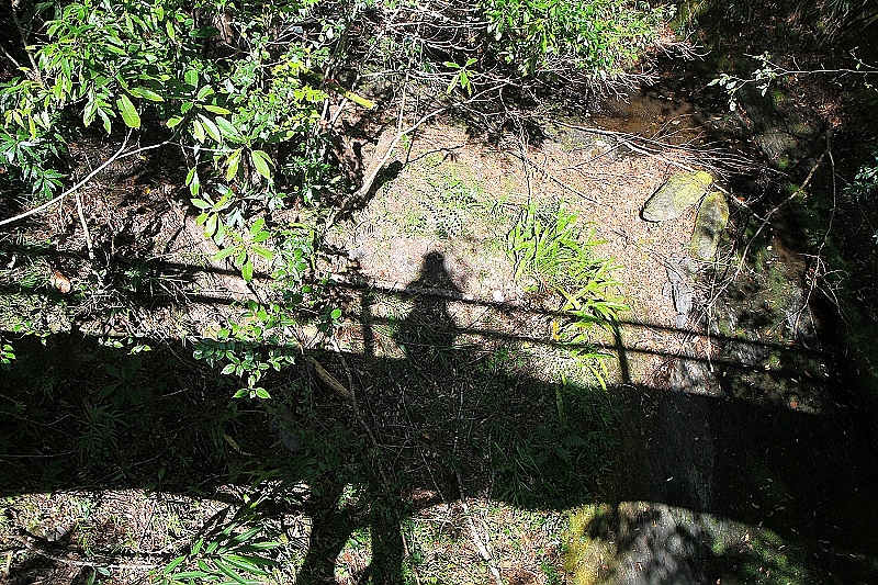 http://i.dcview.tw/gallery/201111/807c764deba11a02270e3b6bad2c9920.jpg