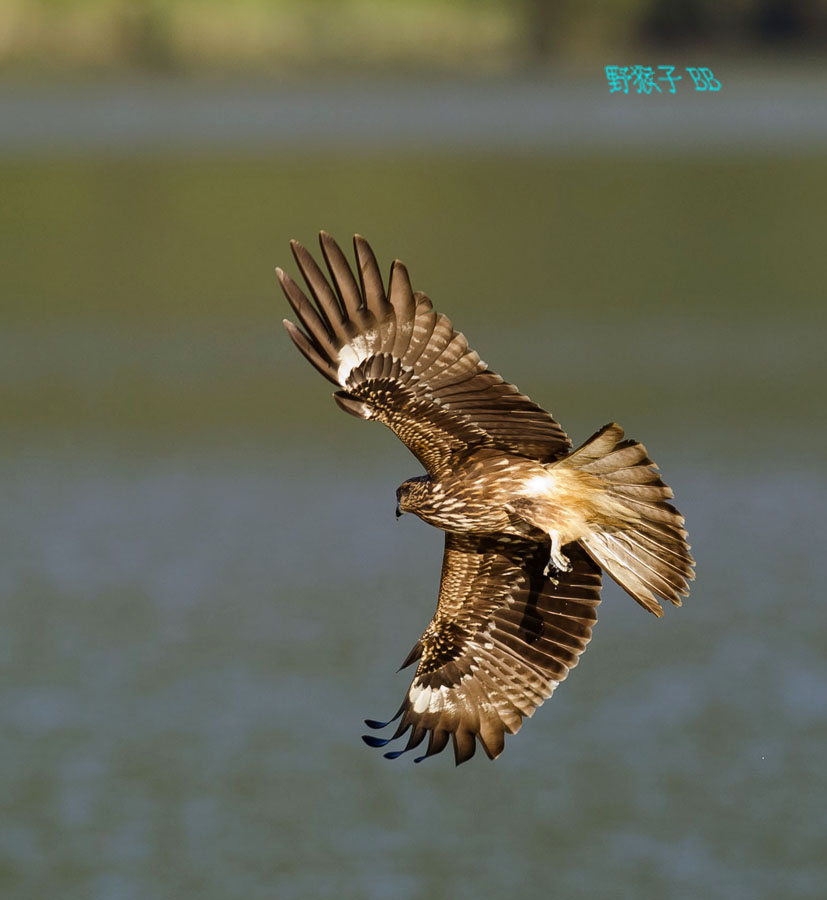 http://i.dcview.tw/gallery/201111/83576e6696d06ed61d5a1aec9b1fdee8.jpg