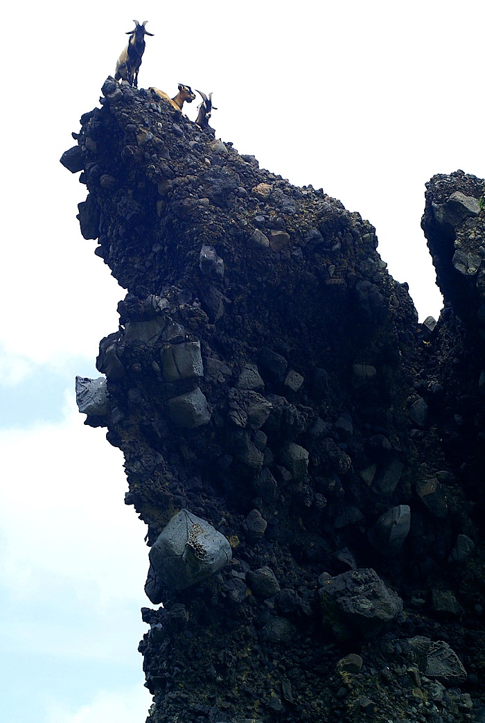 http://i.dcview.tw/gallery/201111/860735405d3b0b8e4e335a96e7931c33.jpg