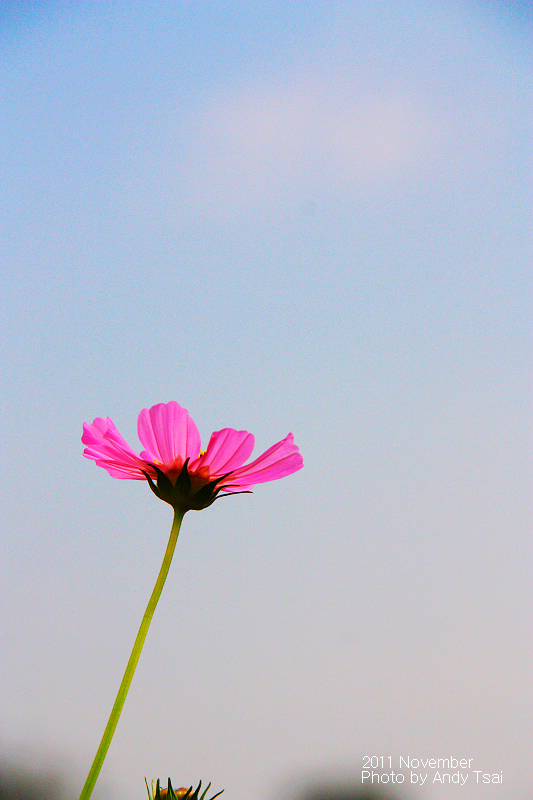 http://i.dcview.tw/gallery/201111/891db59c882af036dc192e85569f44b4.jpg