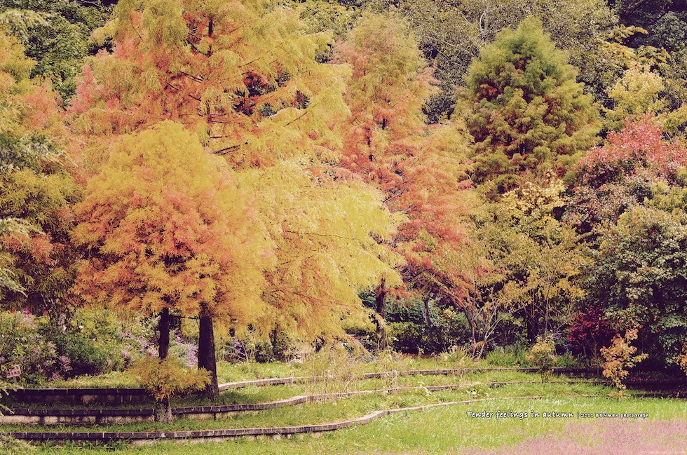 http://i.dcview.tw/gallery/201111/8a1181226161a27da328d263d30d4973.jpg