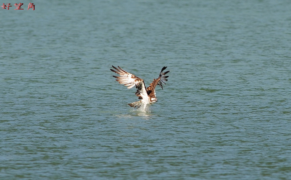 http://i.dcview.tw/gallery/201111/8caea4858f63316cfe43703ed0dd6380.jpg