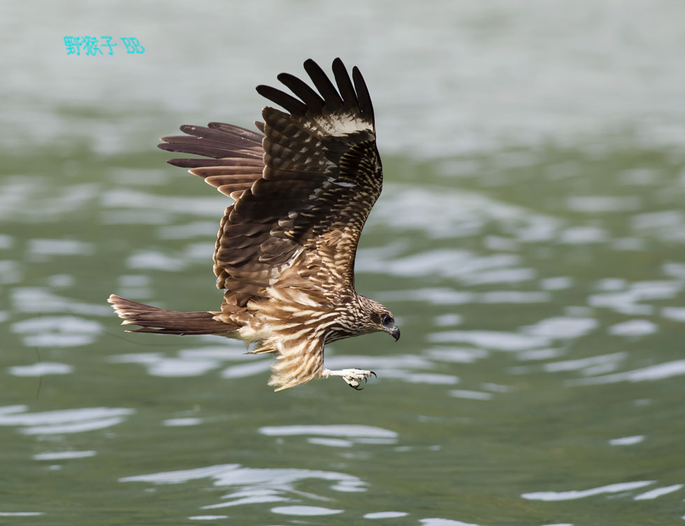 http://i.dcview.tw/gallery/201111/95244f7043aee8e254fe9798e80404bf.jpg