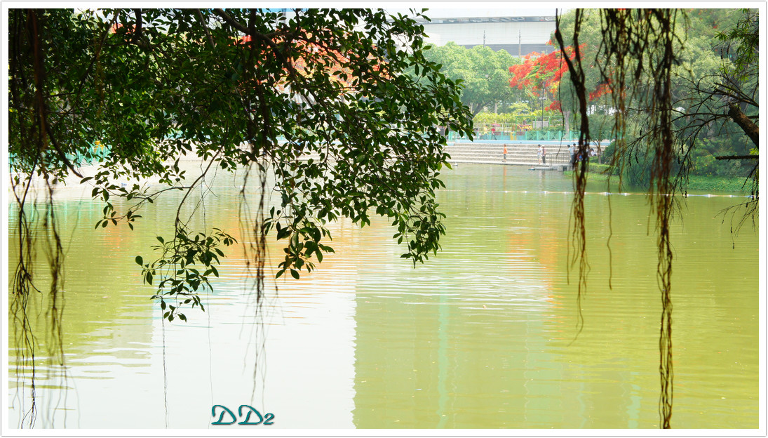 http://i.dcview.tw/gallery/201111/99a365852ba275428b9a436ca4709d2a.jpg