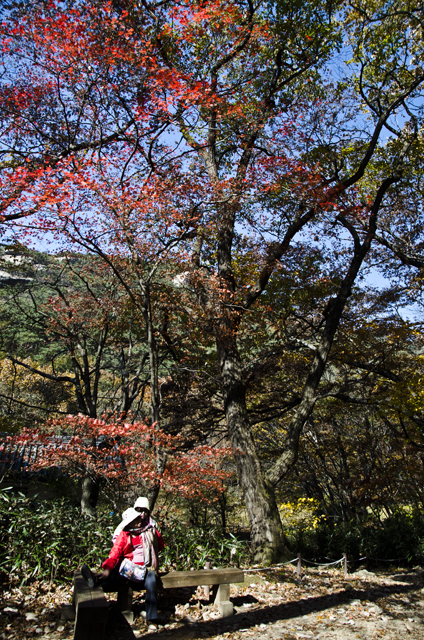 http://i.dcview.tw/gallery/201111/9c832d932b3750d26b58e36a1f7cf7e7.jpg