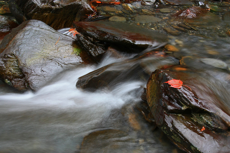 http://i.dcview.tw/gallery/201111/a2b796b593ba389fa8b22ec54342e0b8.jpg