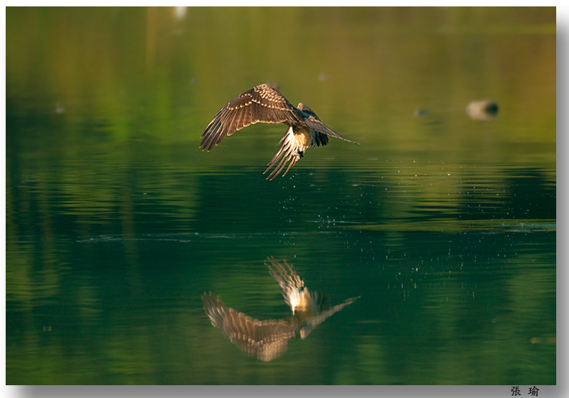 http://i.dcview.tw/gallery/201111/a2d6e3edd386a0ef80bb1f65d033909a.jpg