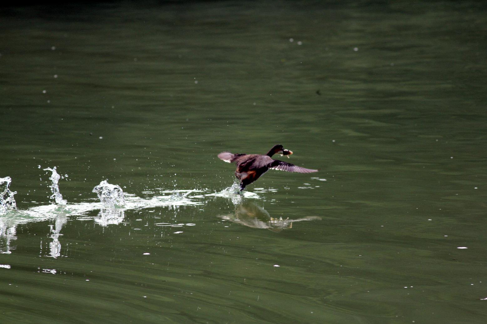http://i.dcview.tw/gallery/201111/a37e9bde883b594996622a15a55f213e.jpg