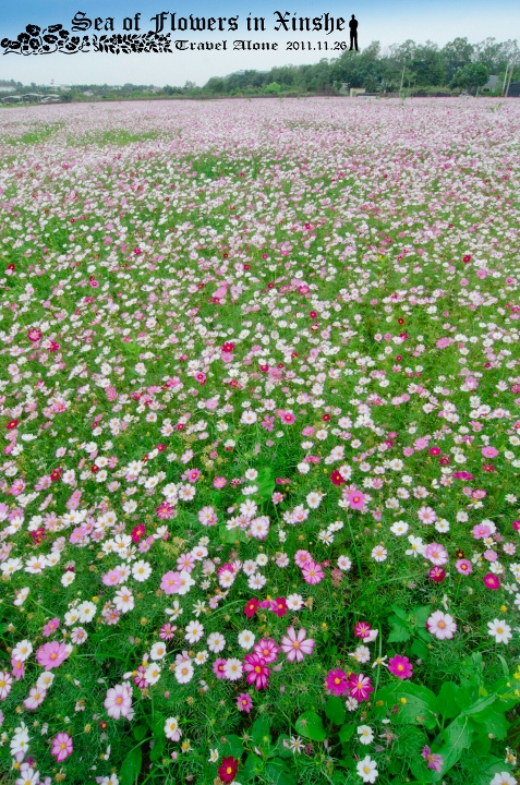 http://i.dcview.tw/gallery/201111/a7c91a8117c7653a3c0d8185388515d0.jpg