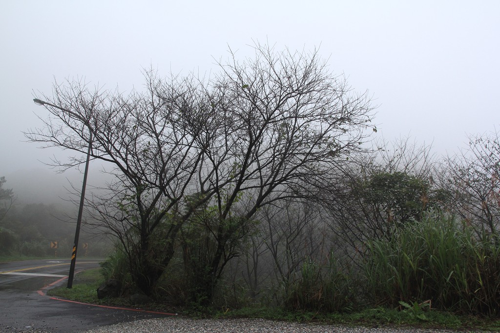 http://i.dcview.tw/gallery/201111/aa89387c94011a58e315153d1d8e958d.jpg