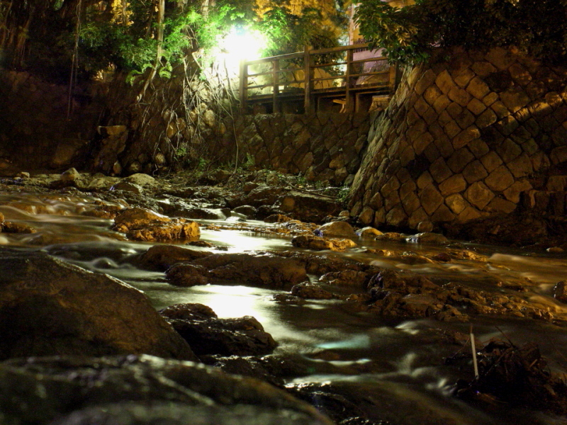 http://i.dcview.tw/gallery/201111/b1b14d052223b5d0ea598bee5311e583.jpg