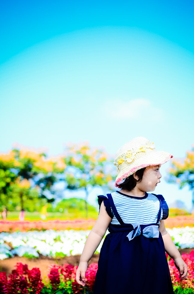 http://i.dcview.tw/gallery/201111/b66ddb57a9ce95436267d264cac45286.jpg