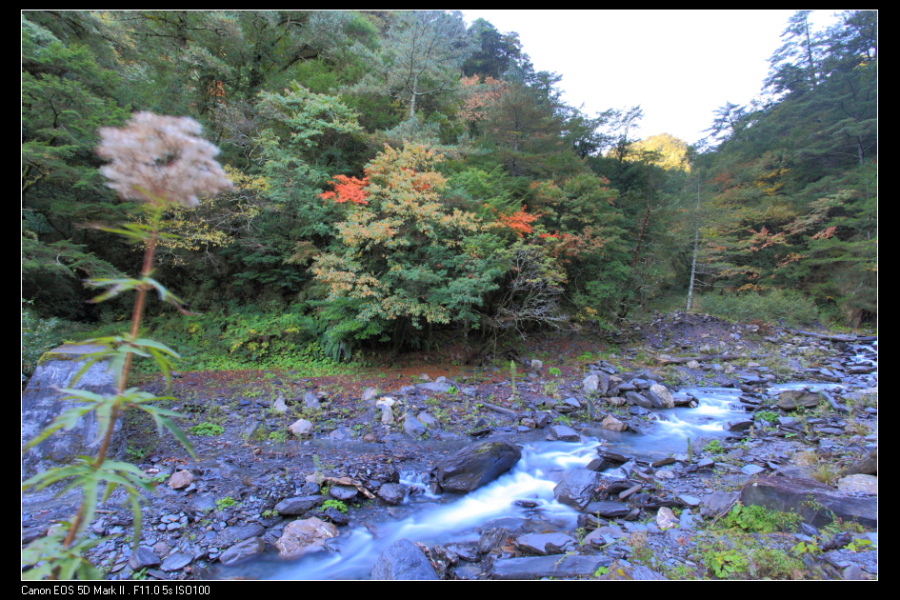http://i.dcview.tw/gallery/201111/bd8bac7d5ff3bb39031353057f115cb6.jpg