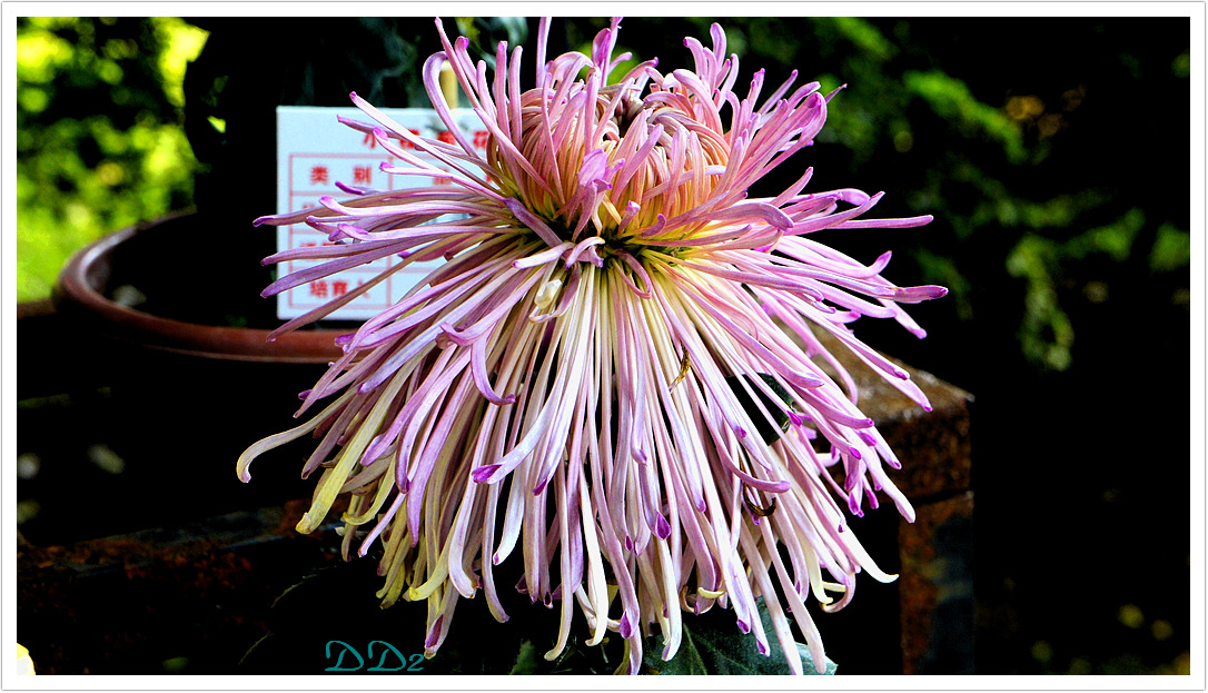 http://i.dcview.tw/gallery/201111/bed0604fc8435b734fe2beba8d3375ff.jpg