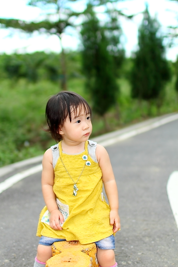 http://i.dcview.tw/gallery/201111/c30c1449304d3d8f54d156e6a2cac1bd.jpg