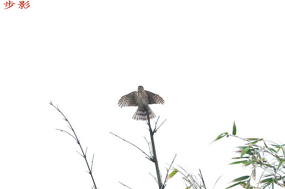 http://i.dcview.tw/gallery/201111/c7e6c8f9dde58f77fd54a6193222331c.jpg