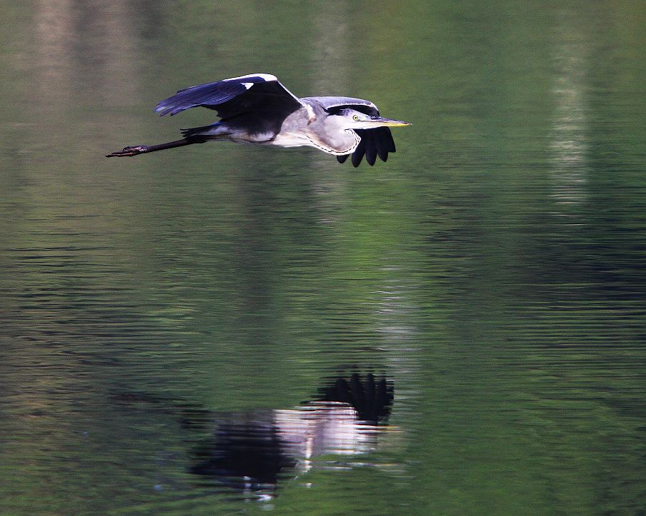 http://i.dcview.tw/gallery/201111/cc820d6e5fc4ce825621d188f21a9e08.jpg